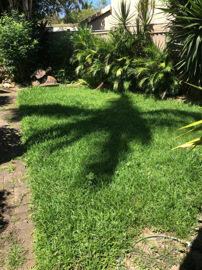 NDIS gardener mowing the front lawn for a participant